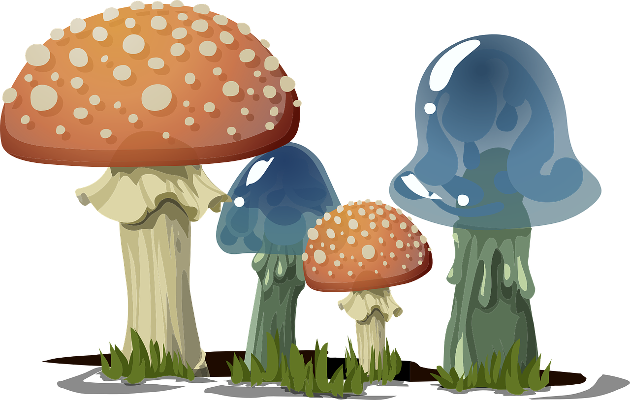 Detail Fungi Png Nomer 21