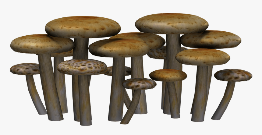 Detail Fungi Png Nomer 26