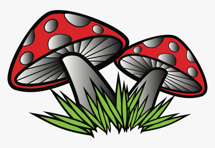 Detail Fungi Png Nomer 57