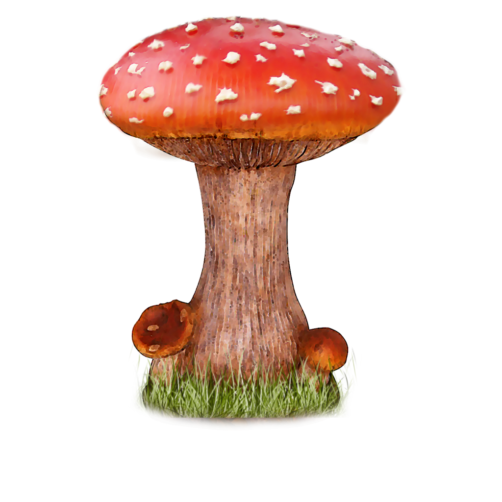 Detail Fungi Png Nomer 7