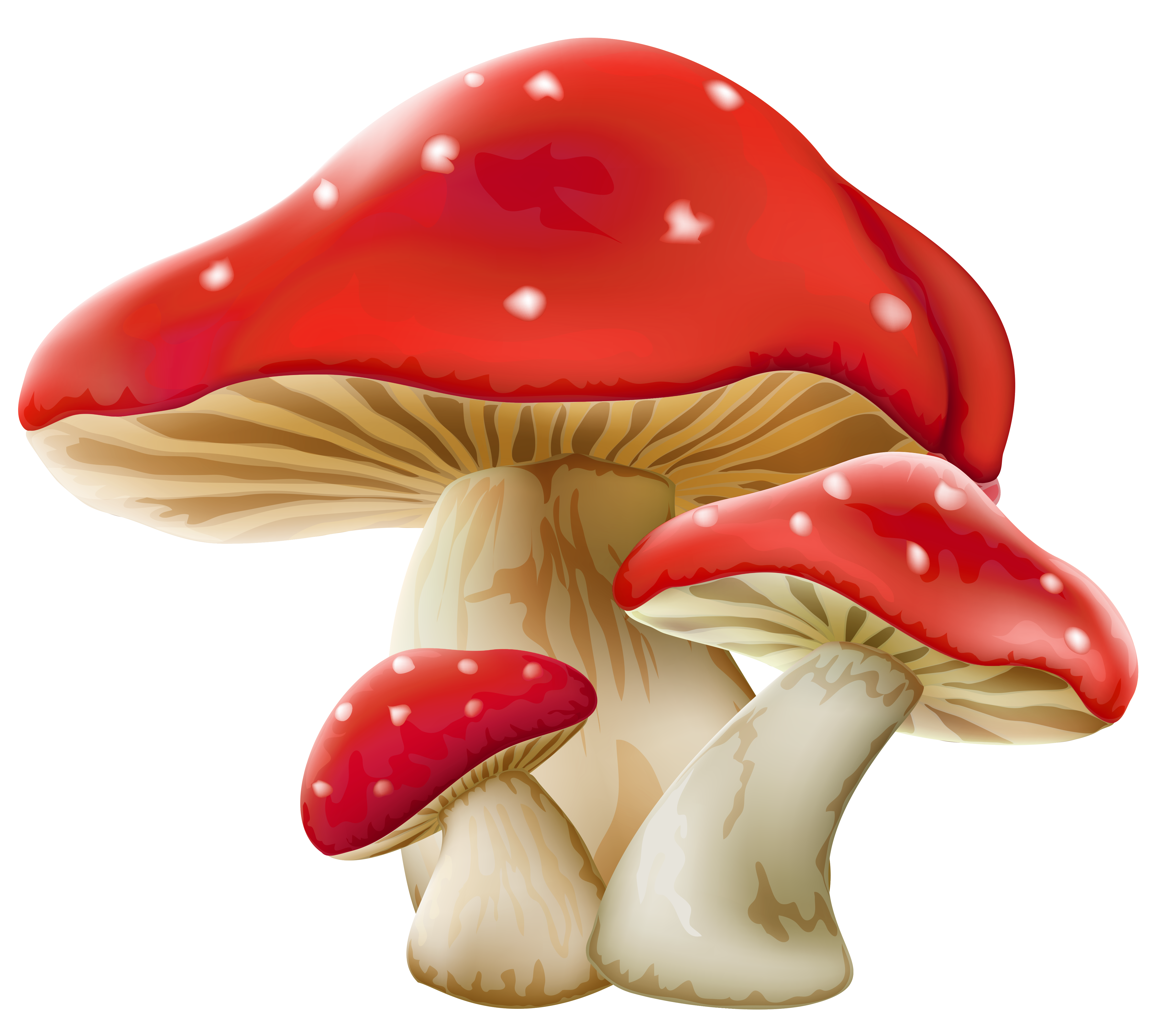 Detail Fungus Png Nomer 14