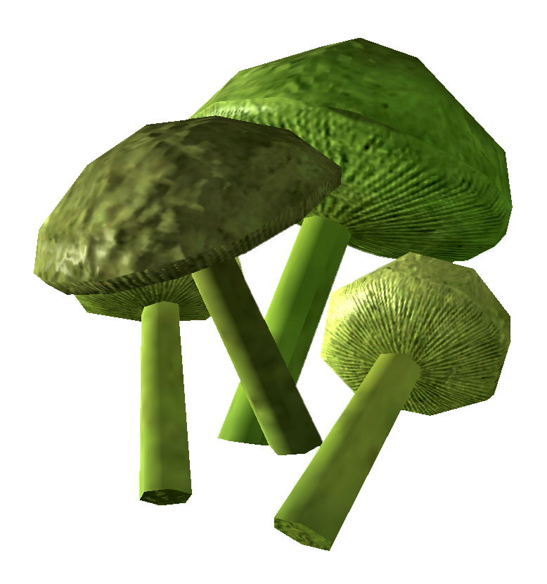 Detail Fungus Png Nomer 31