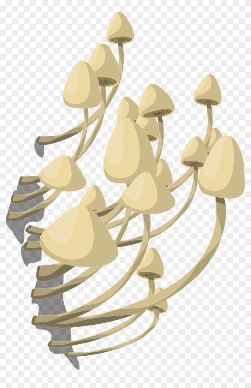 Detail Fungus Png Nomer 37