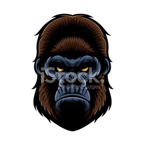 Detail Gorilla Incazzato Nomer 14