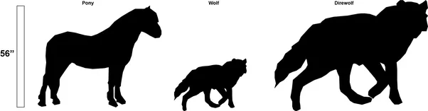 Detail Bran Stark Wolf Nomer 7