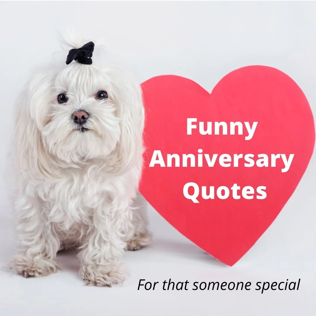 Detail Funny Anniversary Quotes Nomer 54