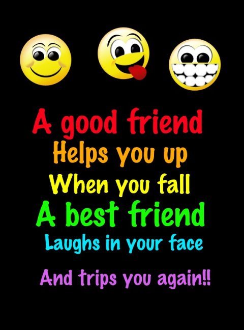 Detail Funny Best Friend Quotes Nomer 32