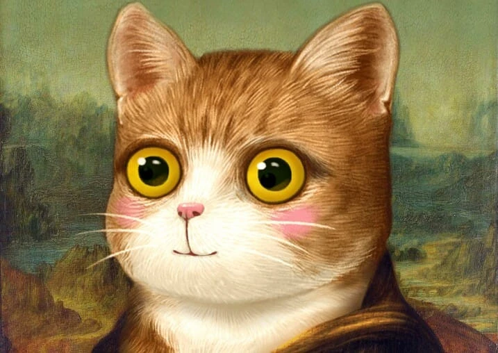 Detail Funny Cat Face Meme Nomer 49