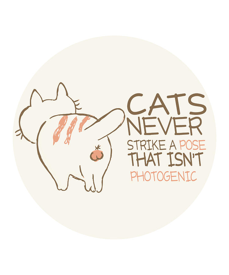 Detail Funny Cat Quotes Nomer 46