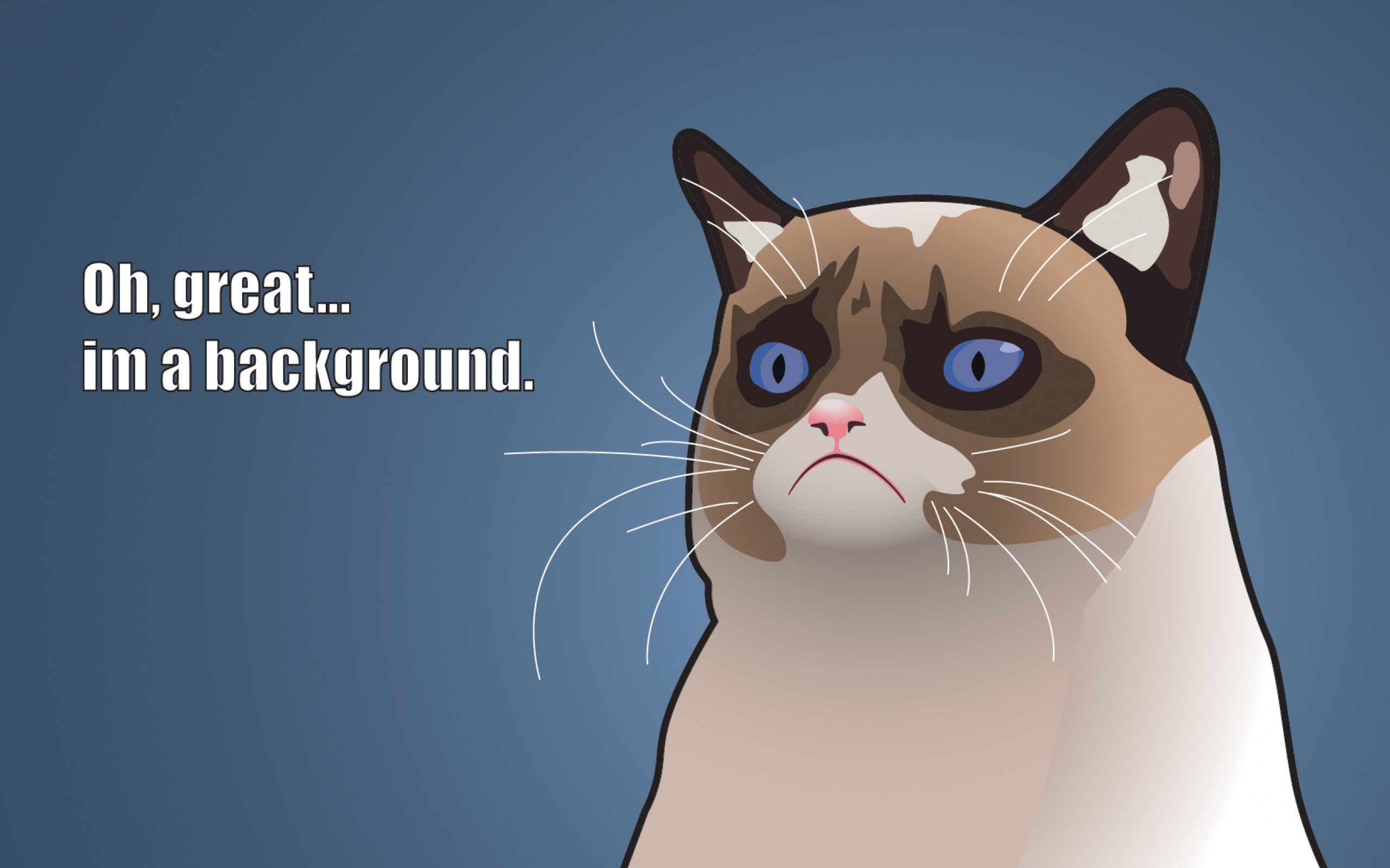 Download Funny Cat Wallpaper Nomer 32