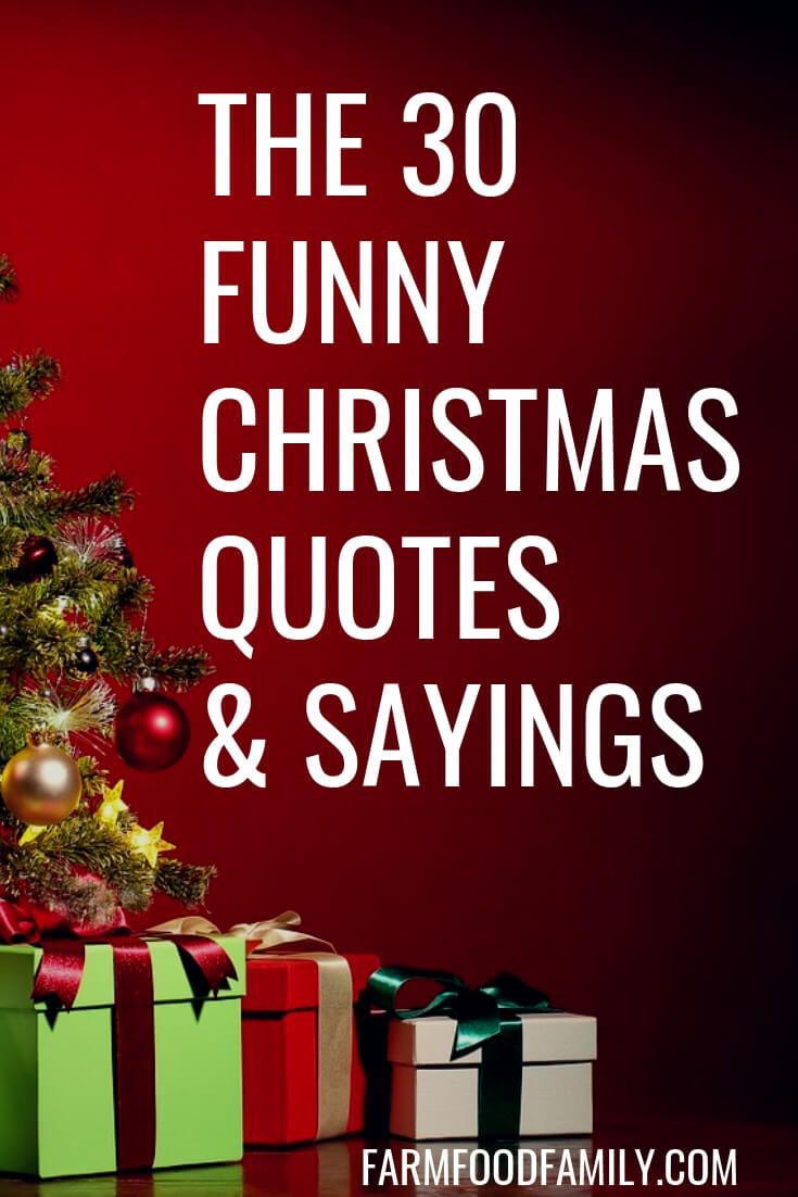 Detail Funny Christmas Quotes Nomer 24