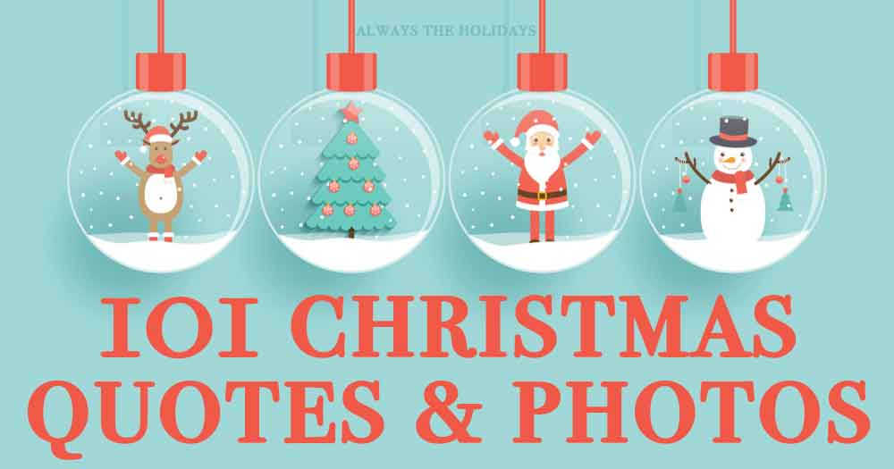 Detail Funny Christmas Quotes Nomer 55