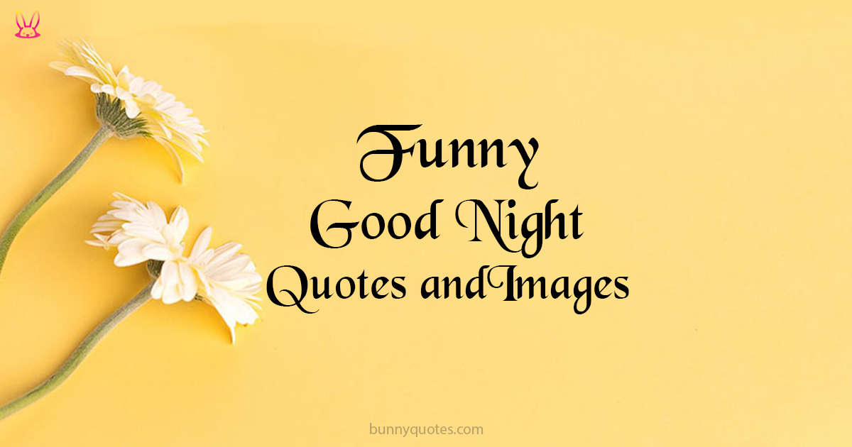 Detail Funny Good Night Quotes Nomer 28