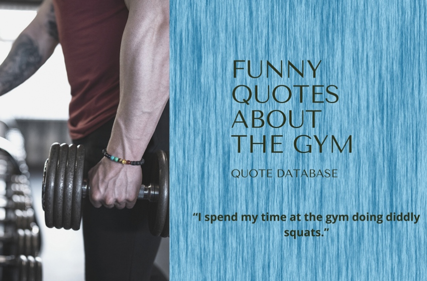 Detail Funny Gym Quotes Nomer 18