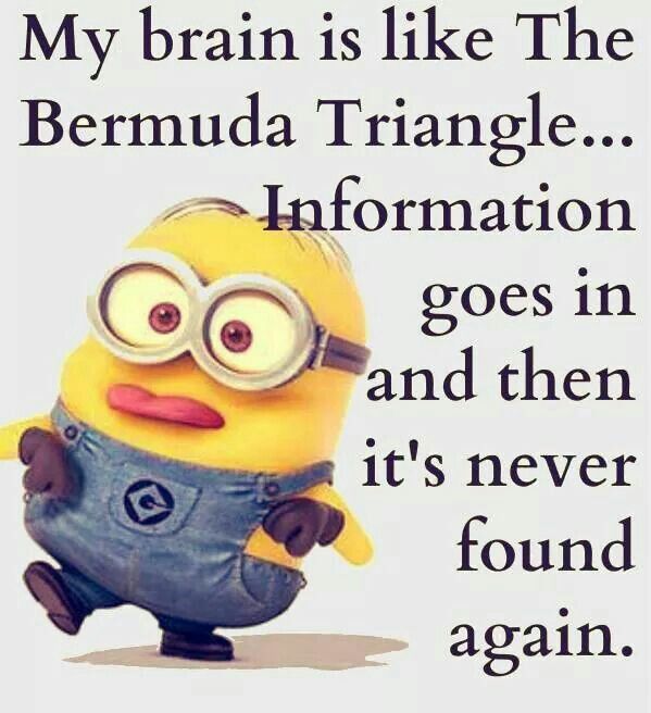 Detail Funny Minion Quotes Nomer 11