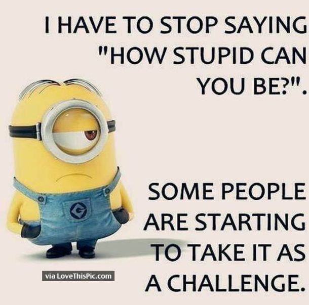 Detail Funny Minion Quotes Nomer 19