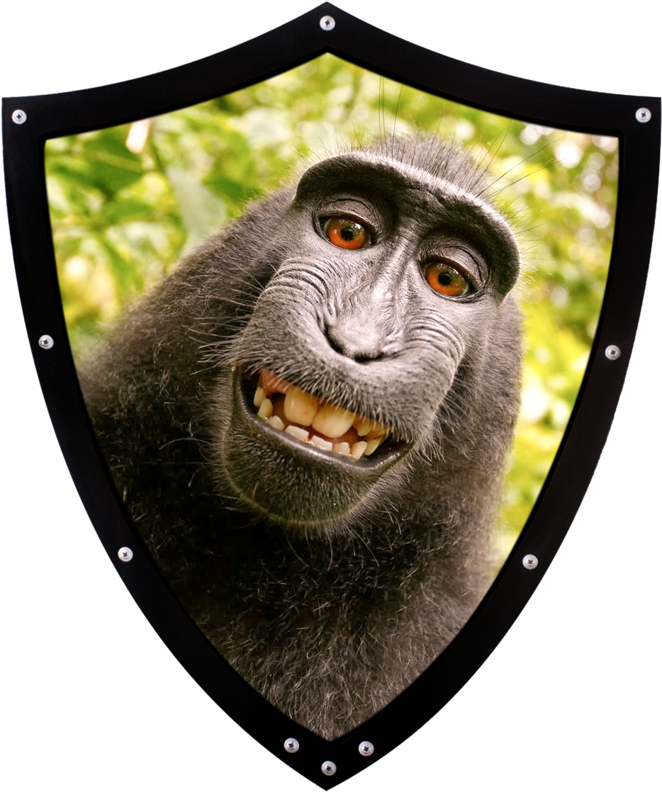 Detail Funny Monkey Png Nomer 45