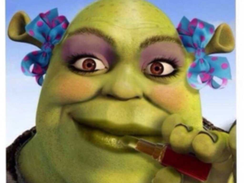 Detail Funny Pics Of Shrek Nomer 14
