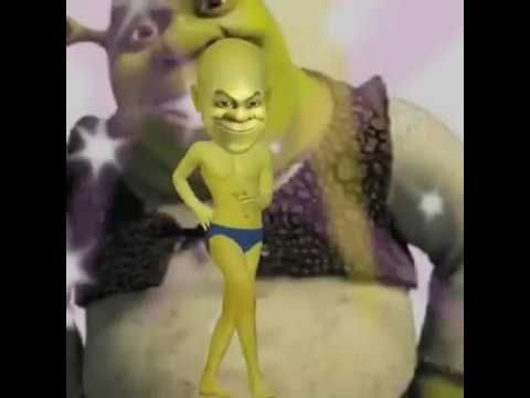 Detail Funny Pictures Of Shrek Nomer 9