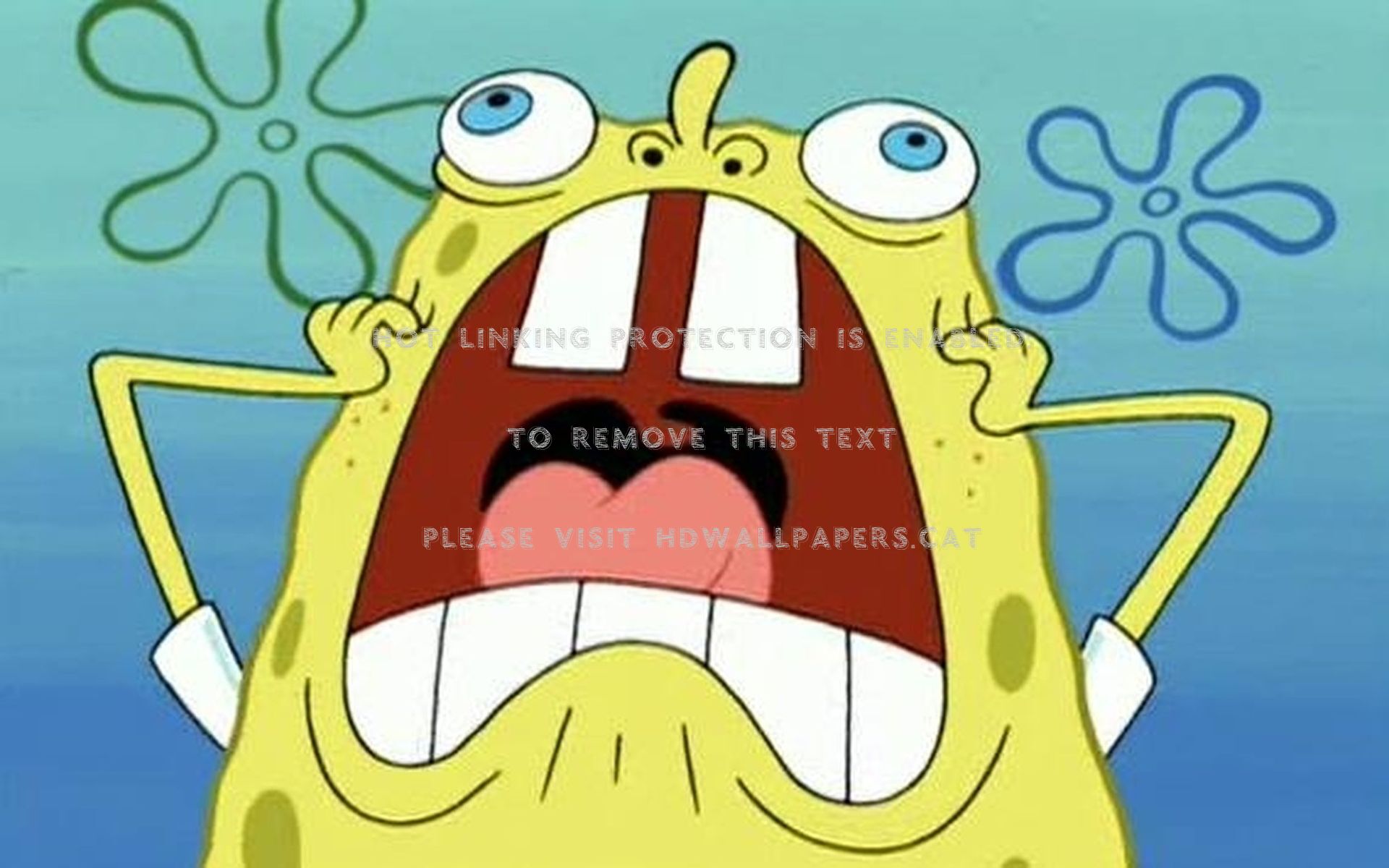 Detail Funny Pictures Spongebob Squarepants Nomer 13