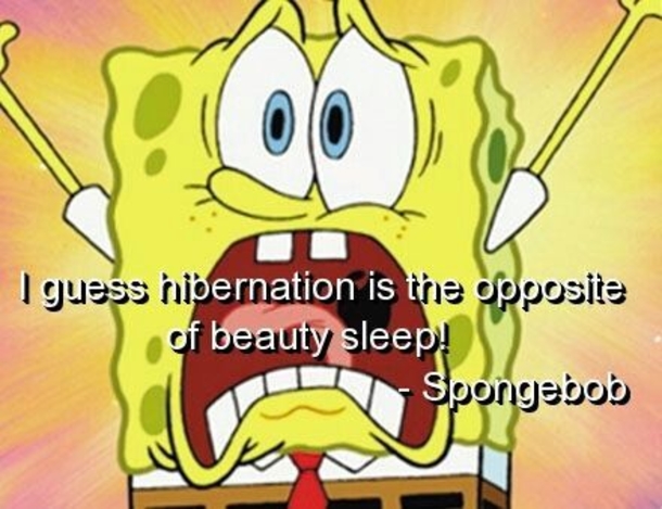 Detail Funny Pictures Spongebob Squarepants Nomer 23