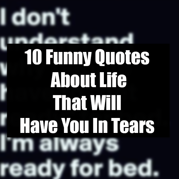 Detail Funny Quotes About Life Nomer 8