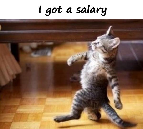 Detail Funny Quotes About Salary Nomer 44