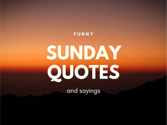 Detail Funny Sunday Quotes Nomer 28