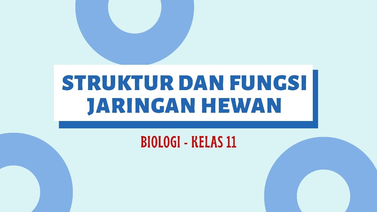 Detail Funsi Dan Gambar Jaringan Hewan Nomer 48