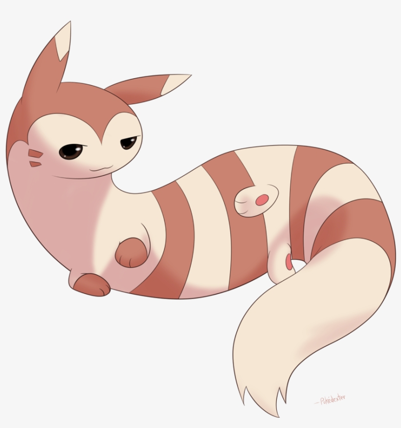 Detail Furret Transparent Nomer 15