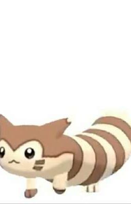 Detail Furret Transparent Nomer 44