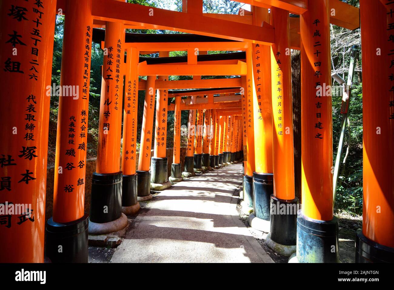 Detail Fushimi Inari Taisha 16 Nomer 6