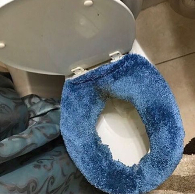 Detail Fuzzy Toilet Seat Cover Meme Nomer 3