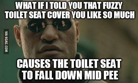 Detail Fuzzy Toilet Seat Cover Meme Nomer 22