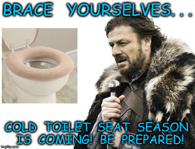 Detail Fuzzy Toilet Seat Cover Meme Nomer 35