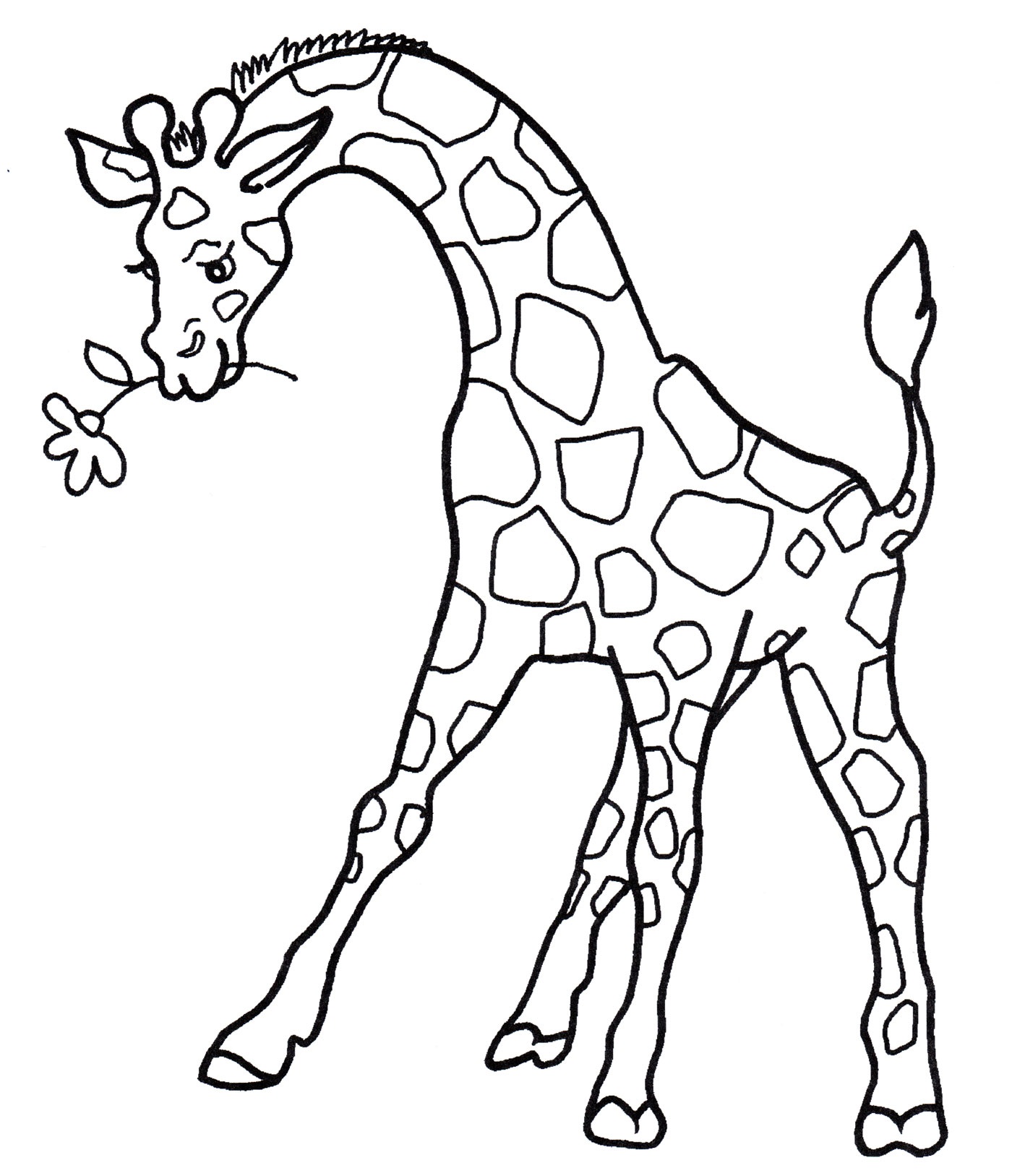 Detail Giraffe Gesicht Malen Nomer 9