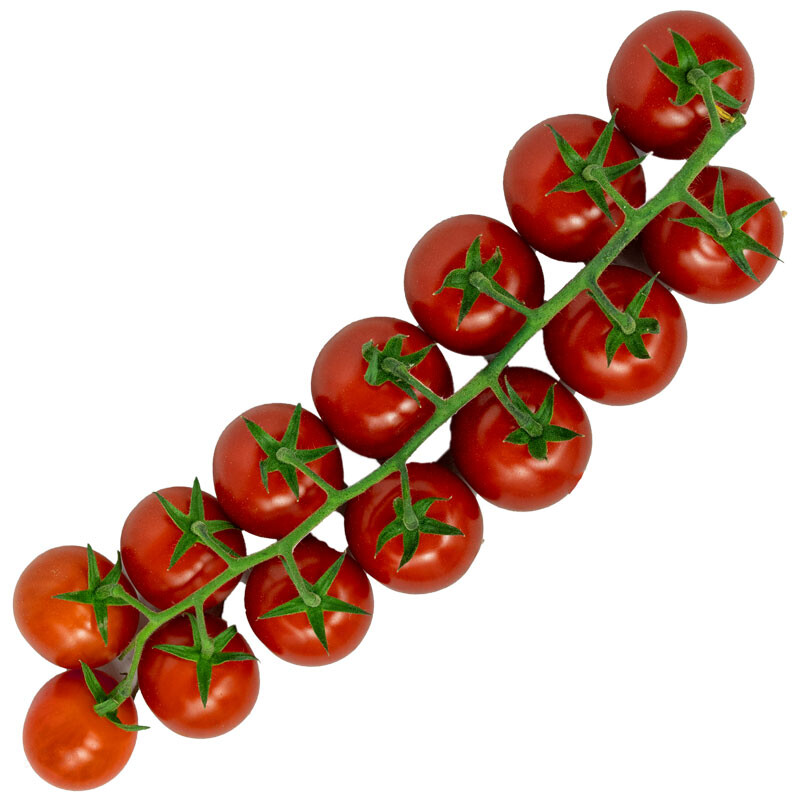 Detail Tomaten Netz Nomer 10