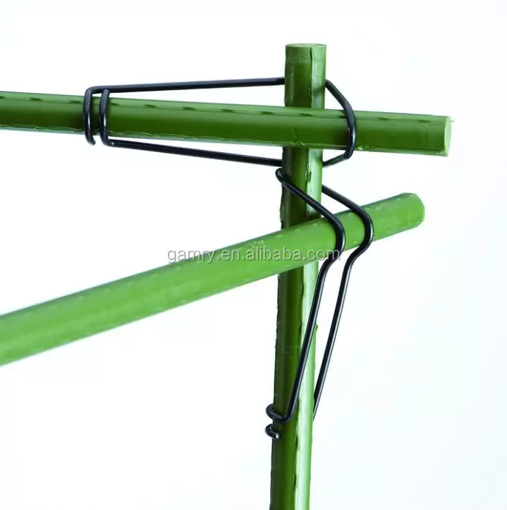 Detail Tomaten Netz Nomer 16