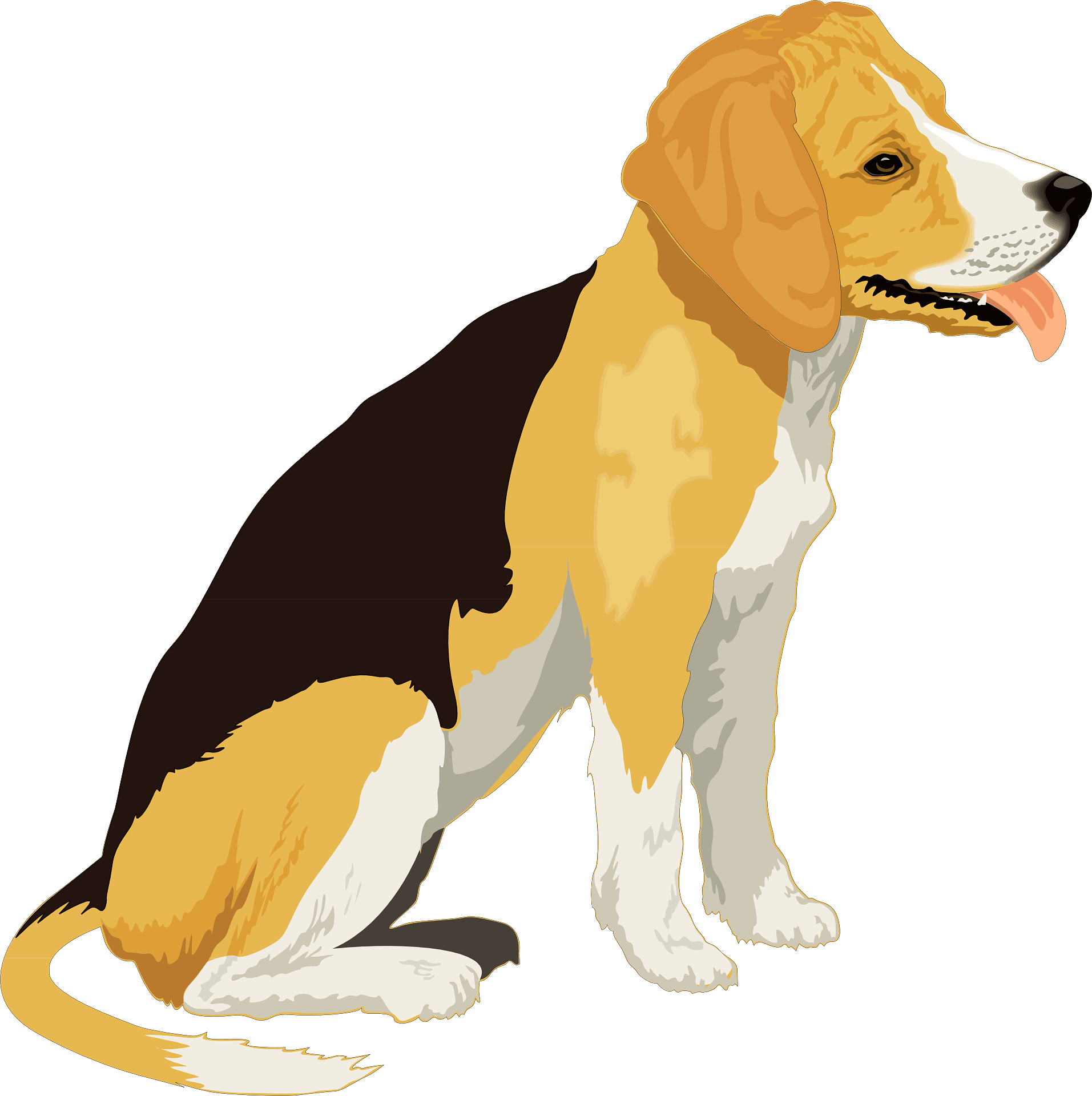 Detail Beagle Dog Png Nomer 23