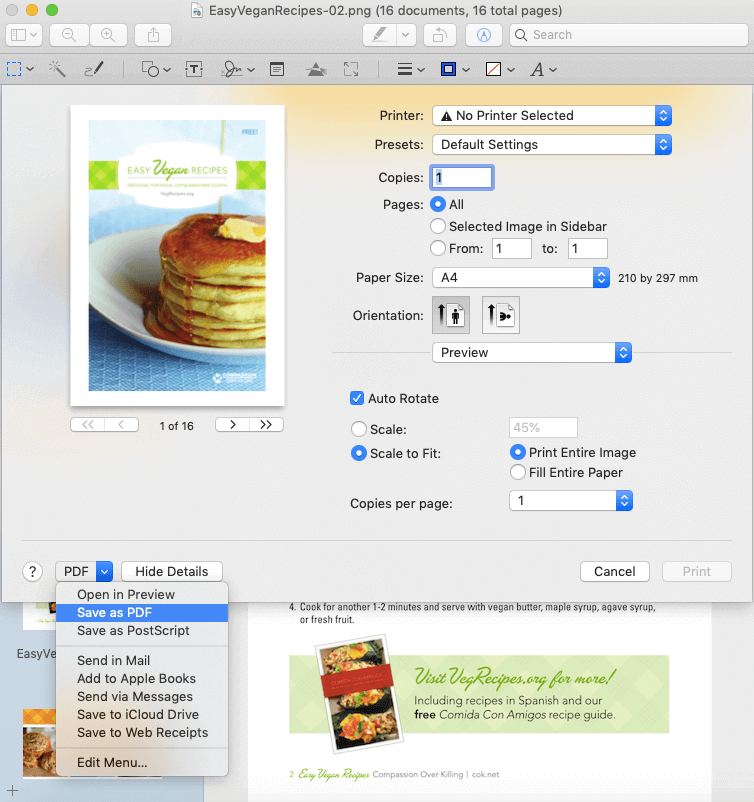 Detail Gabung Png To Pdf Nomer 26