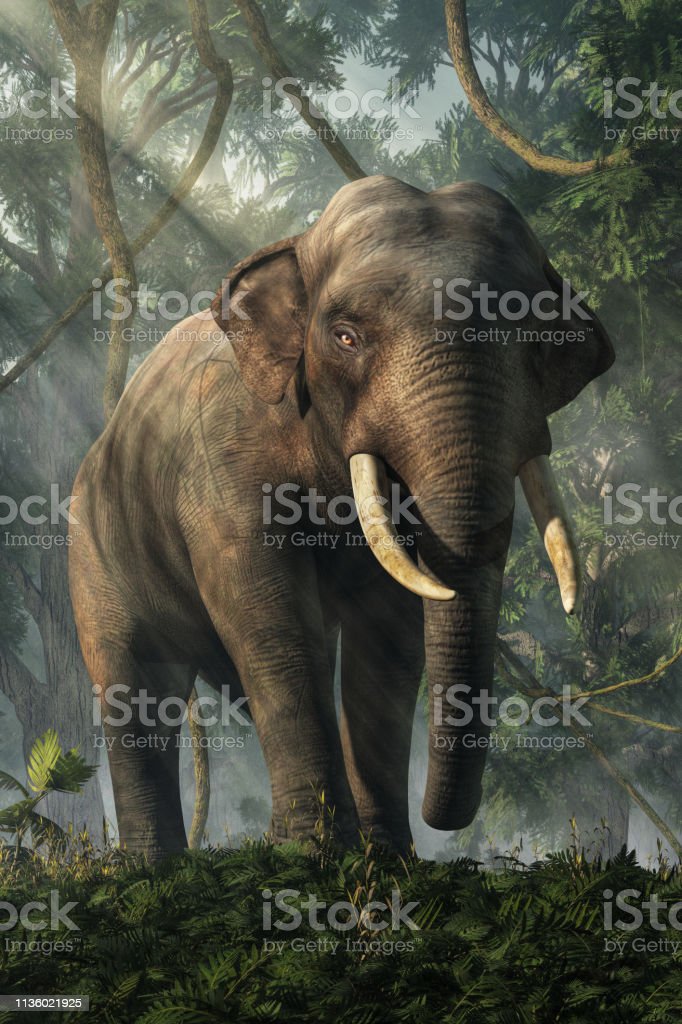 Detail Gajah Di Hutan Nomer 14