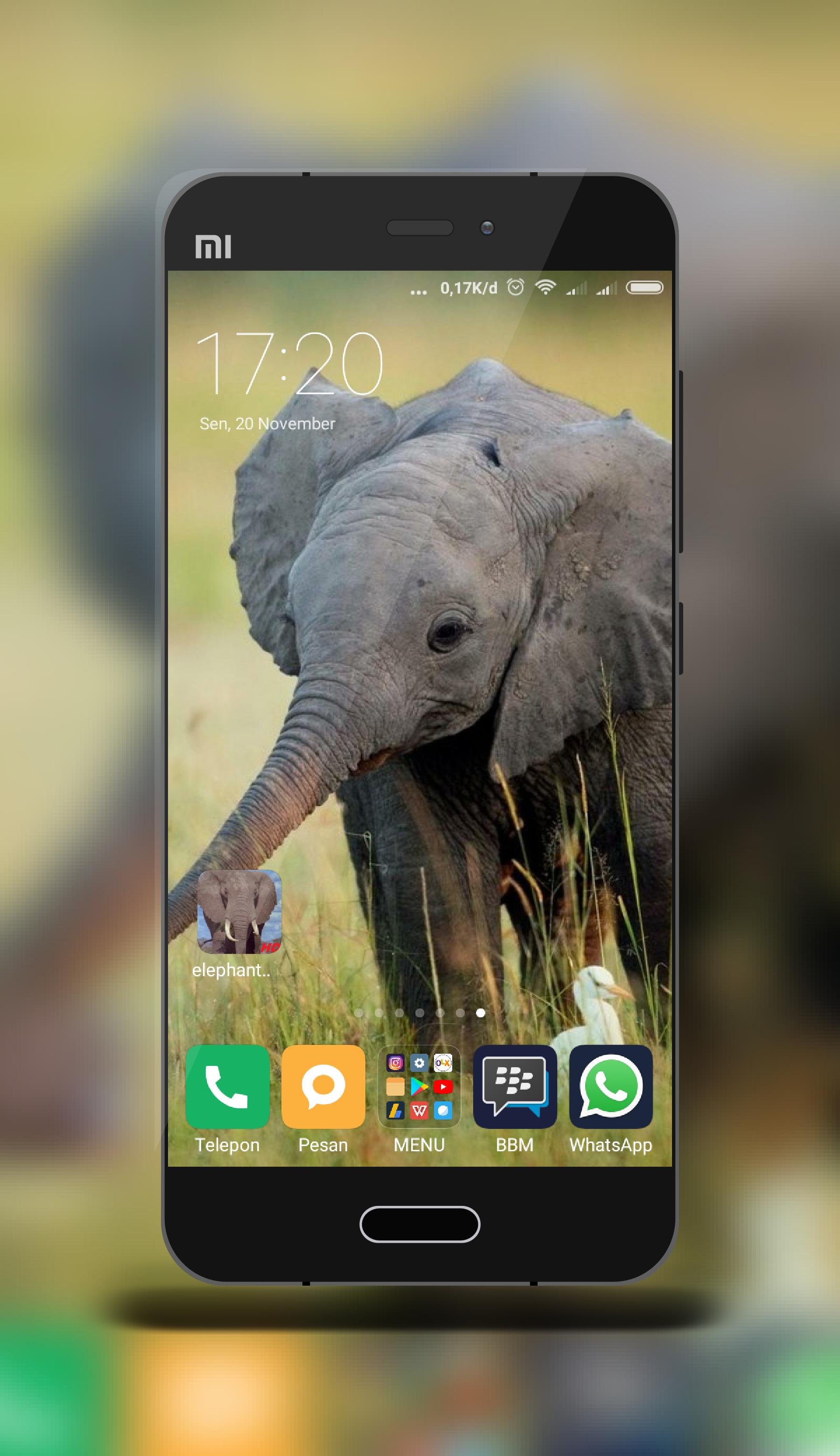 Detail Gajah Wallpaper Nomer 42