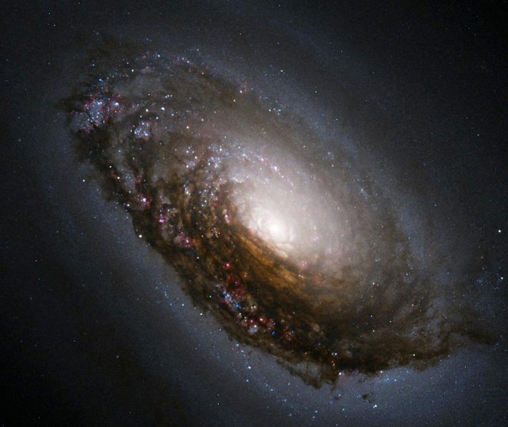 Detail Galaksi Black Eye Nomer 4