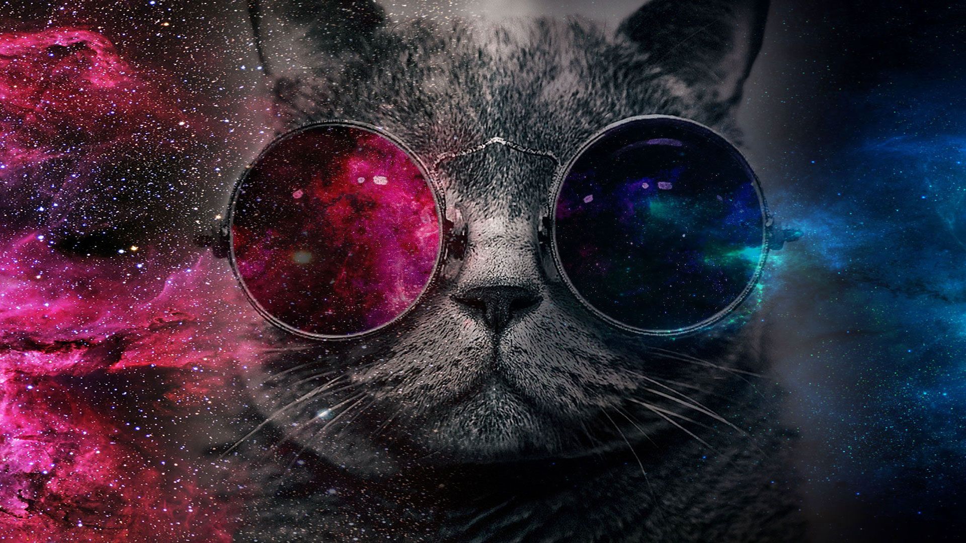 Detail Galaxy Cat Wallpaper Nomer 11