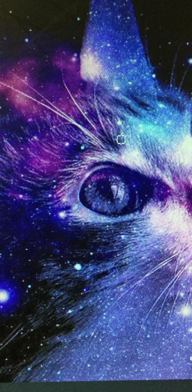 Detail Galaxy Cat Wallpaper Nomer 13