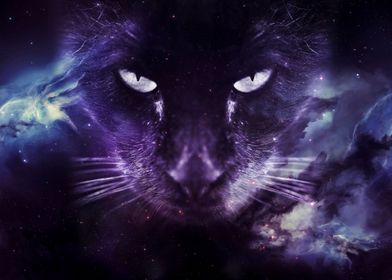 Detail Galaxy Cat Wallpaper Nomer 5