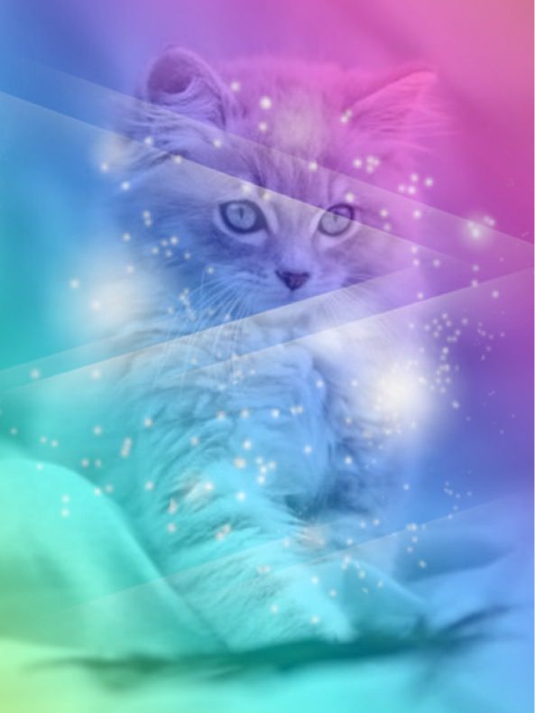 Detail Galaxy Cat Wallpaper Nomer 53