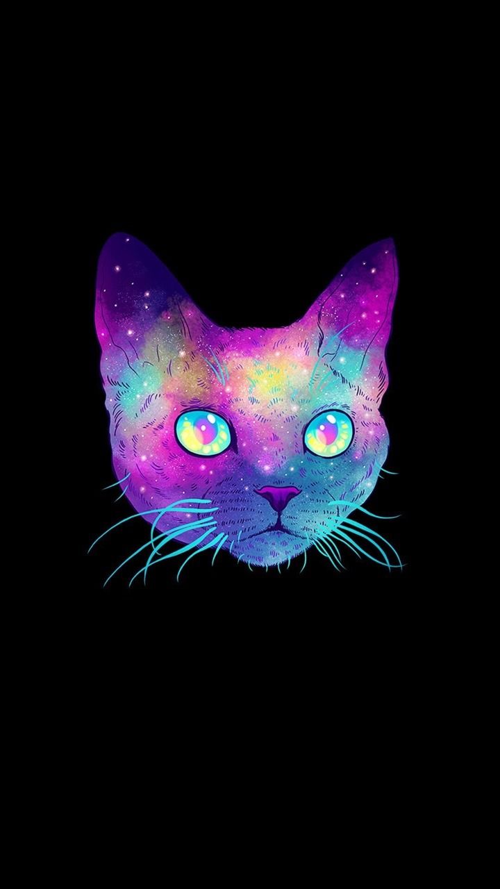 Detail Galaxy Cat Wallpaper Nomer 7