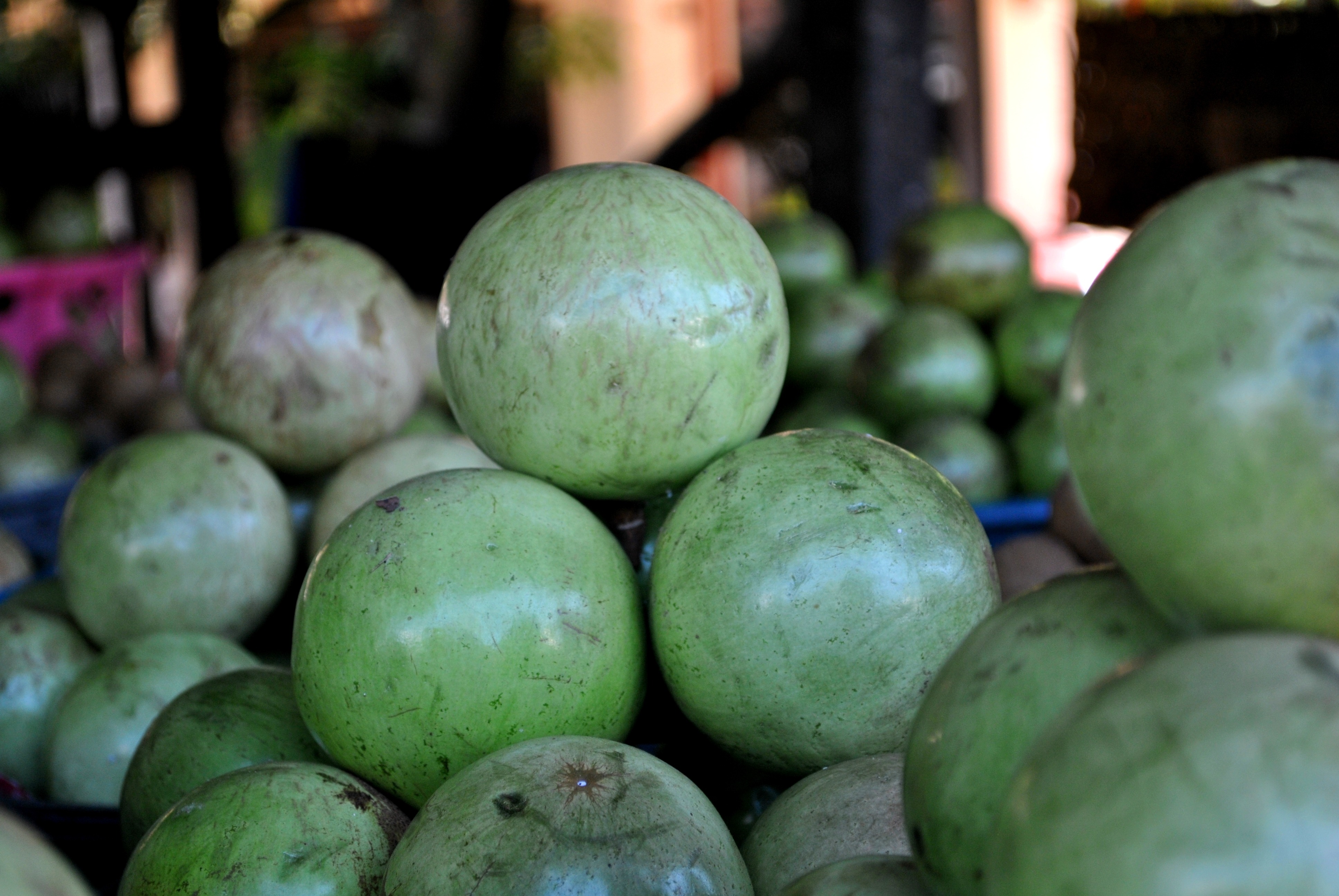 Detail Galeri Nama Dan Gambar Buah Buahan Nomer 25