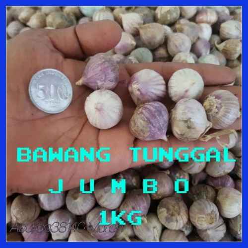 Detail Gambar 1 Siung Bawang Putih Nomer 54